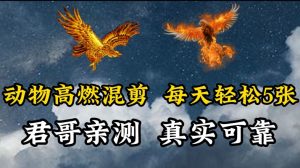 动物超燃混剪，每天轻松5张，剪辑简单大家爱看【揭秘】-水滴知识网