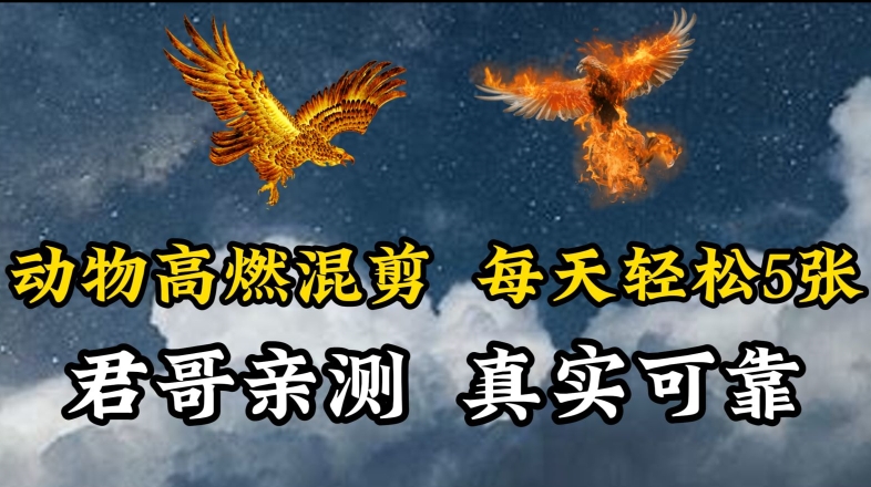 动物超燃混剪，每天轻松5张，剪辑简单大家爱看【揭秘】-水滴知识网