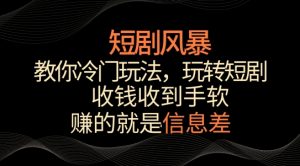 短剧风暴,教你冷门玩法,玩转短剧,收钱收到手软【揭秘】-水滴知识网