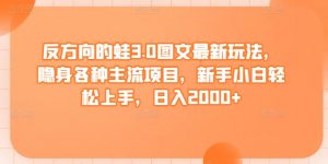 反方向的蛙3.0图文最新玩法，隐身各种主流项目，新手小白轻松上手，日入2000+【揭秘】-水滴知识网