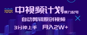 中视频计划暴力起号,自动剪辑原创视频,3分钟上手,月入2W+【揭秘】-水滴知识网
