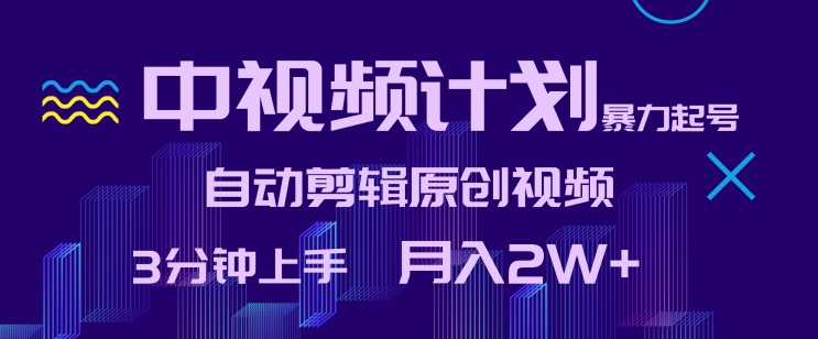 中视频计划暴力起号,自动剪辑原创视频,3分钟上手,月入2W+【揭秘】-水滴知识网