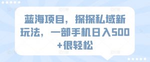 蓝海项目,探探私域新玩法,一部手机日入500+很轻松【揭秘】-水滴知识网
