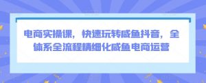 电商实操课,快速玩转咸鱼抖音,全体系全流程精细化咸鱼电商运营-水滴知识网