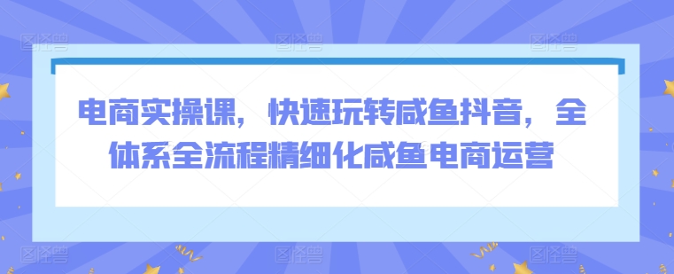 电商实操课,快速玩转咸鱼抖音,全体系全流程精细化咸鱼电商运营-水滴知识网