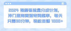 2024视频号流量分成计划,冷门监海赛道奇闻趣事,每天只需30分钟,轻松目赚 1000+【揭秘】-水滴知识网