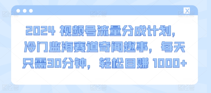 2024视频号流量分成计划,冷门监海赛道奇闻趣事,每天只需30分钟,轻松目赚 1000+【揭秘】-水滴知识网
