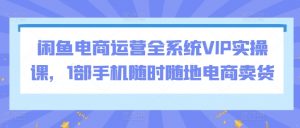 闲鱼电商运营全系统VIP实操课,1部手机随时随地电商卖货-水滴知识网