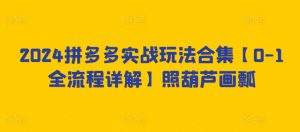 2024拼多多实战玩法合集【0-1全流程详解】照葫芦画瓢-水滴知识网
