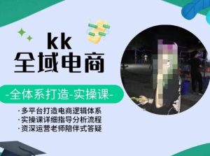 KK全域电商,全体系打造实操课,多平台打造电商逻辑体系-水滴知识网