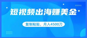 短视频出海赚美金，复制粘贴批量操作，小白轻松掌握，月入4500美刀【揭秘】-水滴知识网
