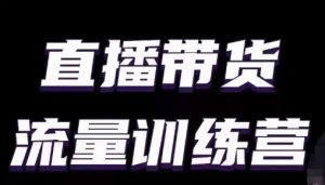 直播带货流量训练营，小白主播必学直播课-水滴知识网