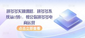拼多多实操课程，拼多多系统从0到1，教会你拼多多电商运营-水滴知识网