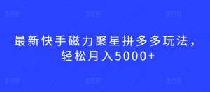 最新快手磁力聚星拼多多玩法，轻松月入5000+【揭秘】-水滴知识网