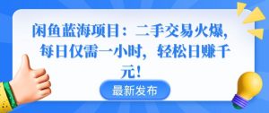 闲鱼蓝海项目:二手交易火爆,每日仅需一小时,轻松日赚千元【揭秘】-水滴知识网