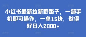 小红书最新拉新野路子,一部手机即可操作,一单15块,做得好日入2000+【揭秘】-水滴知识网