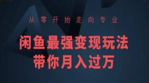 从零开始走向专业，闲鱼最强变现玩法带你月入过万-水滴知识网
