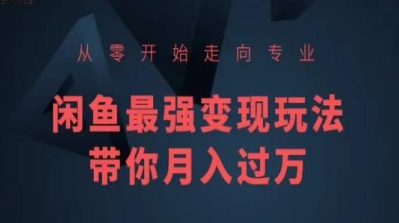 从零开始走向专业，闲鱼最强变现玩法带你月入过万-水滴知识网