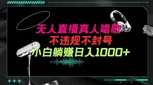 抖音24小时无人直播音乐，不违规，不封号纯撸音浪，小白实操当天日入1000+【揭秘】-水滴知识网
