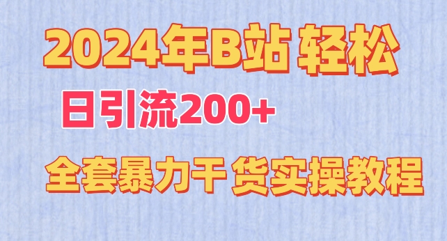 2024年B站轻松日引流200+的全套暴力干货实操教程【揭秘】-水滴知识网