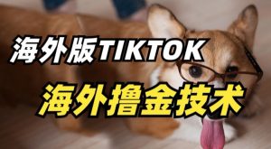 抖音海外版tiktok撸金技术，这个风口行业，赚钱真的不难【揭秘】-水滴知识网