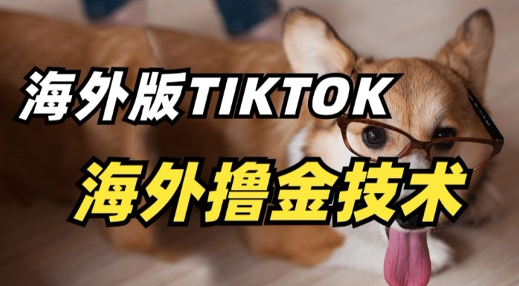 抖音海外版tiktok撸金技术，这个风口行业，赚钱真的不难【揭秘】-水滴知识网