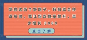 掌握这两个野路子,特效结合神奇布偶,能让粉丝数量飙升,至少增长 5000【揭秘】-水滴知识网