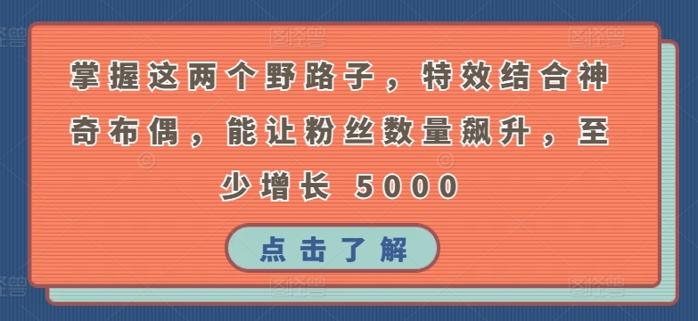 掌握这两个野路子,特效结合神奇布偶,能让粉丝数量飙升,至少增长 5000【揭秘】-水滴知识网