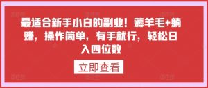 最适合新手小白的副业!薅羊毛+躺赚,操作简单,有手就行,轻松日入四位数【揭秘】-水滴知识网