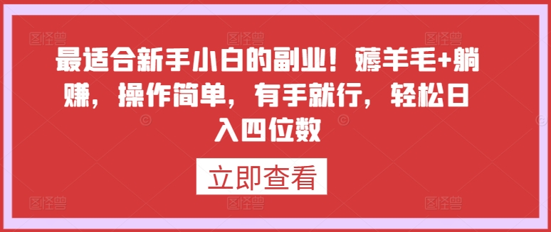 最适合新手小白的副业!薅羊毛+躺赚,操作简单,有手就行,轻松日入四位数【揭秘】-水滴知识网