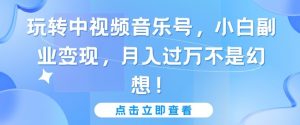 玩转中视频音乐号,小白副业变现,月入过万不是幻想【揭秘】-水滴知识网