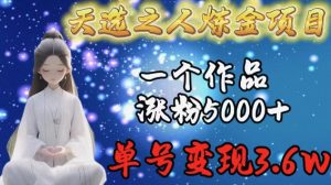 天选之人炼金项目，一个作品涨粉5000+，单号变现3.6w【揭秘】-水滴知识网
