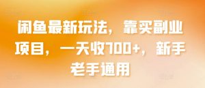 闲鱼最新玩法，靠买副业项目，一天收700+，新手老手通用【揭秘】-水滴知识网