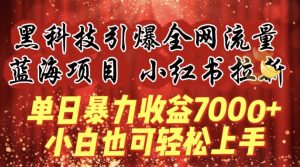 蓝海项目!黑科技引爆全网流量小红书拉新，单日暴力收益7000+，小白也能轻松上手【揭秘】-水滴知识网