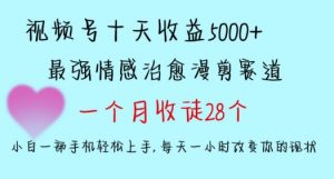 十天收益5000+,多平台捞金,视频号情感治愈漫剪,一个月收徒28个,小白一部手机轻松上手【揭秘】-水滴知识网