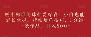 吸引精准的球鞋爱好者，小白也能轻松掌握，持续爆单技巧，5分钟一条作品，日入800+【揭秘】-水滴知识网