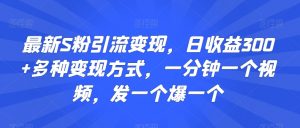 最新S粉引流变现，日收益300+多种变现方式，一分钟一个视频，发一个爆一个【揭秘】-水滴知识网