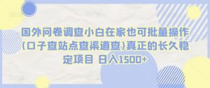 国外问卷调查小白在家也可批量操作(口子查站点查渠道查)真正的长久稳定项目 日入1500+【揭秘】-水滴知识网