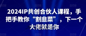 2024IP共创合伙人课程，手把手教你“割韭菜”，下一个大佬就是你-水滴知识网