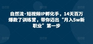 自然流·短视频IP孵化手,14天百万爆款了训练营,带你迈出“月入5w新职业”第一步-水滴知识网