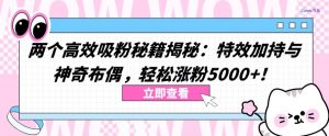 两个高效吸粉秘籍揭秘:特效加持与神奇布偶,轻松涨粉5000+【揭秘】-水滴知识网