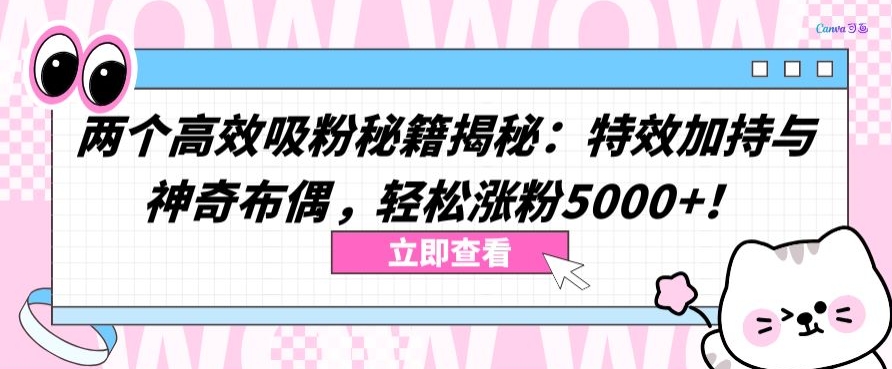 两个高效吸粉秘籍揭秘：特效加持与神奇布偶，轻松涨粉5000+【揭秘】-水滴知识网