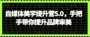 自媒体美学提升营5.0,手把手带你提升品牌审美-水滴知识网