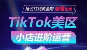 TikTok Shop美区小店进阶运营,抢占红利黄金期 嘎嘎出单-水滴知识网