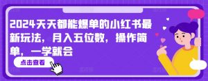 2024天天都能爆单的小红书最新玩法，月入五位数，操作简单，一学就会【揭秘】-水滴知识网