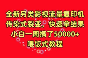 全新另类影视流量复印机,传染式裂变,快速拿结果,小白一周搞了50000+,喂饭式教程【揭秘】-水滴知识网