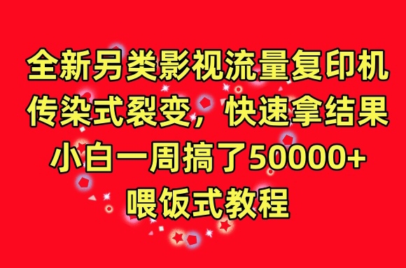 全新另类影视流量复印机,传染式裂变,快速拿结果,小白一周搞了50000+,喂饭式教程【揭秘】-水滴知识网