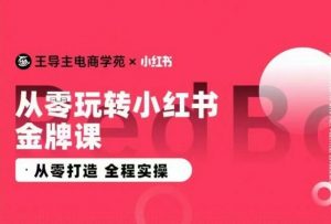 王导主·小红书电商运营实操课,从零打造 全程实操-水滴知识网