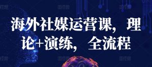 海外社媒运营课，理论+演练，全流程-水滴知识网