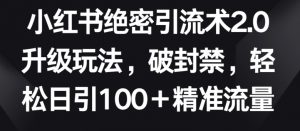 小红书绝密引流术2.0升级玩法，破封禁，轻松日引100+精准流量【揭秘】-水滴知识网